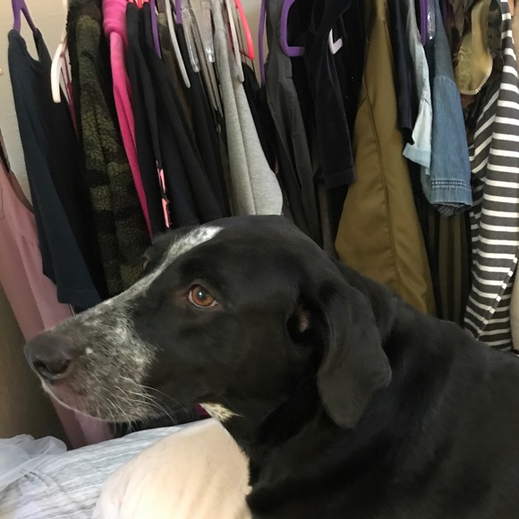 *~*~Open 2 offers~*~* - Picture 4 of 15